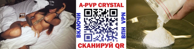 закладка  Гвардейск  Alfa_PVP СК 