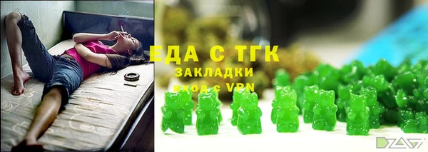 гидра Заводоуковск