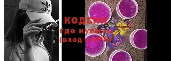 хмурый Верея