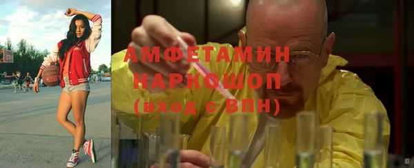 хмурый Верея