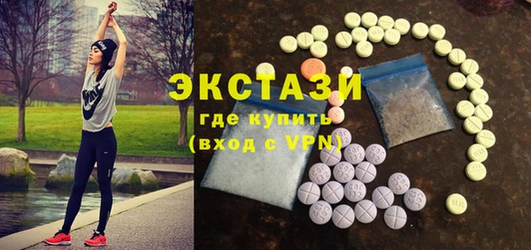 хмурый Верея