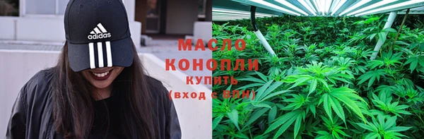 хмурый Верея