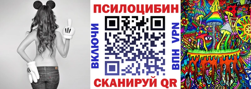 Псилоцибиновые грибы Cubensis  Гвардейск 